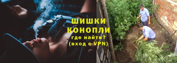 шишки Лихославль
