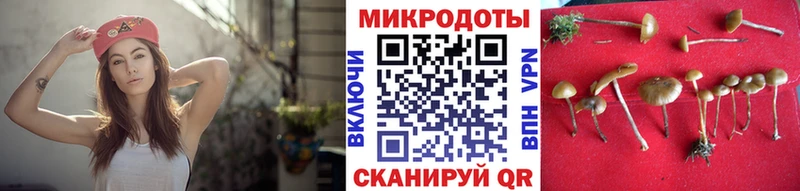 где продают   Тюкалинск  Псилоцибиновые грибы ЛСД 